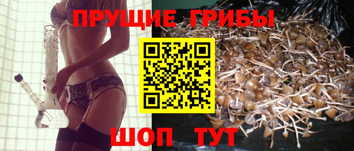 Галлюциногенные грибы ЛСД Ртищево