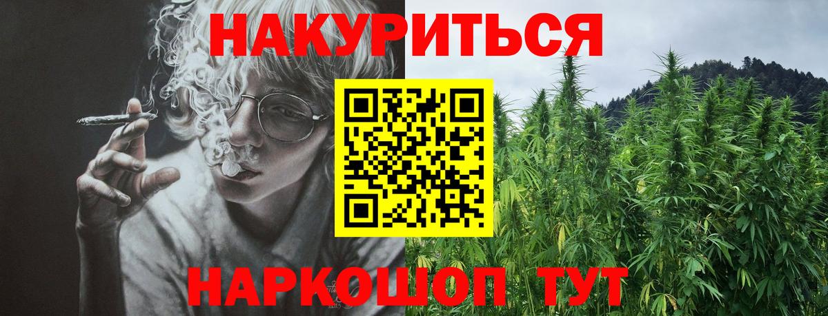 Бошки Шишки сатива Ртищево